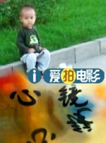 小猫的搞笑视频
